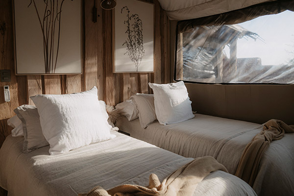 Family Tent - Imagen 3