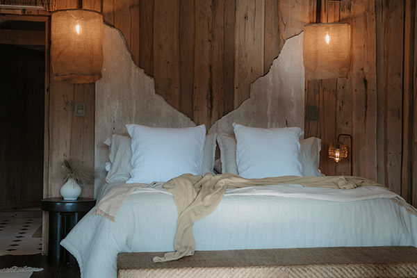 Family Tent - Imagen 4