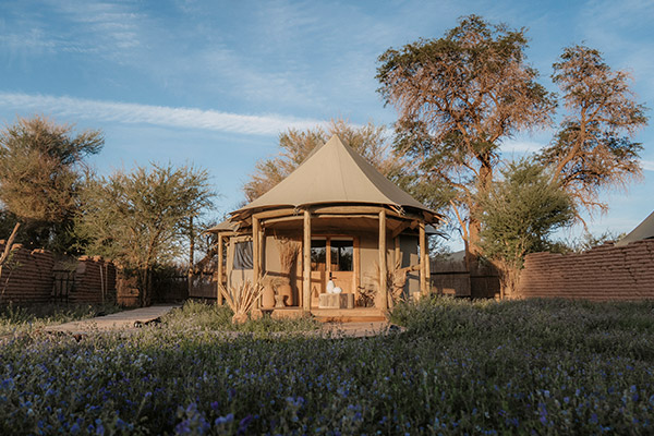 Luxury Tent - Imagen 1